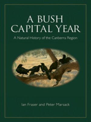 cover image of A Bush Capital Year